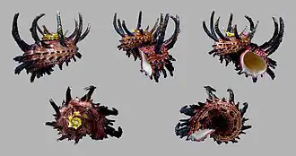 Angaria melanacantha