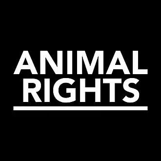Animal Rights