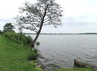 Noordelijk deel van de plassen