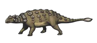 Ankylosaurus