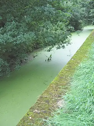 De antitankgracht te Haacht, onderdeel van de KW-stelling.