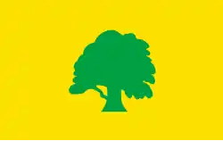 Vlag van de gemeente Antsla