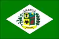 Vlag van Arapuá