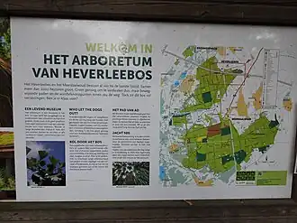 Heverleebos