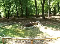 Een gereconstrueerde boomkist als centraal heuvelgraf en een gereconstrueerde boomkist als bijzetting