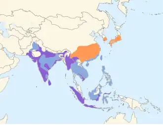 Middelste zilverreiger