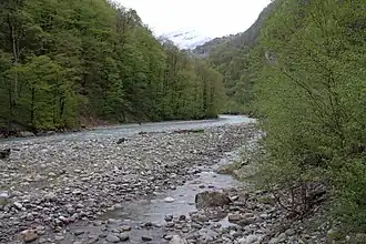 De rivier Ardon in Zapovednik Noord-Ossetië.