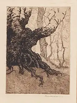 Boomstronk (ets, 1922)