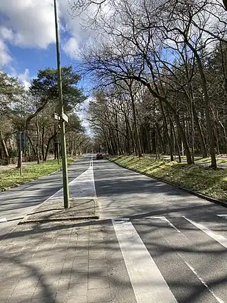 Vanaf de rotonde in de Laan van Beek en Royen kijkend in de richting van Driebergen