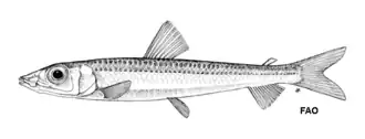 Zilversmelt