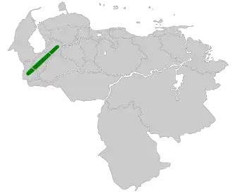 Okerbrauwdistelstaart