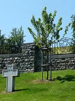 Gedenkkruis en jonge perenboom in augustus 2012.