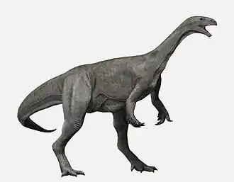 Asylosaurus