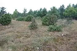 Karstlandschap bij Atla