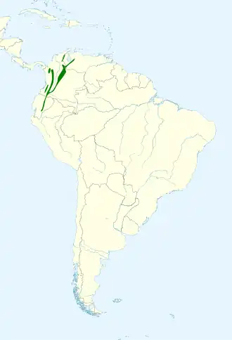 Grijsborststruikgors