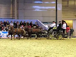 Vierspan in het tuig