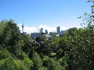 Centrum van Auckland gezien vanaf Auckland Domain