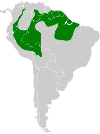 Roodkruinbladspeurder