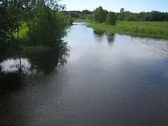 De Avijõgi vlak bij de monding