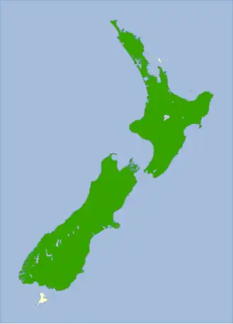 Nieuw-Zeelandse topper