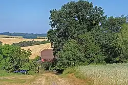 Uitzicht over de akkers (2015)