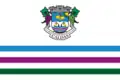 Vlag van Caldas