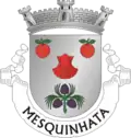 Vlag van Mesquinhata