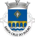 Vlag van Santa Cruz do Douro