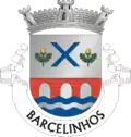 Vlag van Barcelinhos