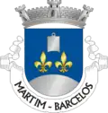 Vlag van Martim