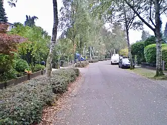 Bilderdijklaan (2013)