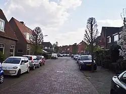 Tulpstraat