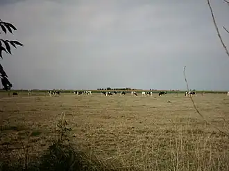 Zicht op de Polders, rond Diksmuide