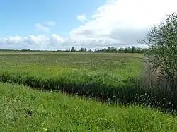 Ernaastgelegen hooiland