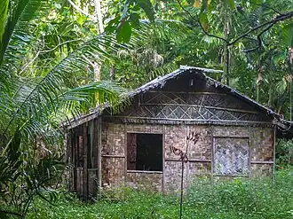 Laaglandregenwouden van de Admiraliteitseilanden