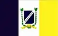 Vlag van Campestre
