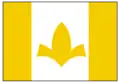 Vlag van Itaueira