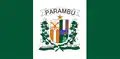 Vlag van Parambu