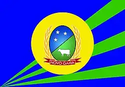 Vlag van Novo Gama