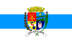 Vlag van Barra Mansa