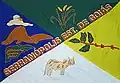 Vlag van Serranópolis