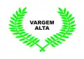 Vlag van Vargem Alta