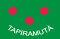 Vlag van Tapiramutá