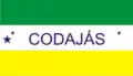 Vlag van Codajás