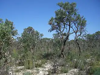 Nationaal park Moore River