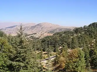 Natuurreservaat Al Shouf Ceder