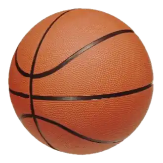 Dutch Basketball League 2014-15