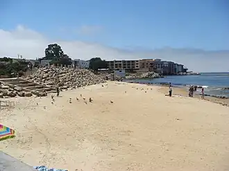 Een strand nabij Monterey, aan de gelijknamige baai
