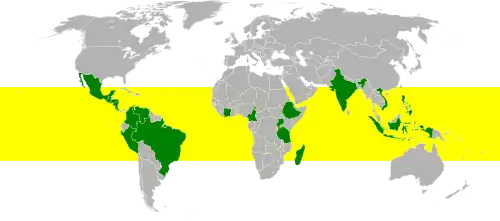 De belangrijkste koffieproducerende landen