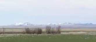 Gezicht op Bear Paw Mountains vanuit het zuiden, nabij Virgelle